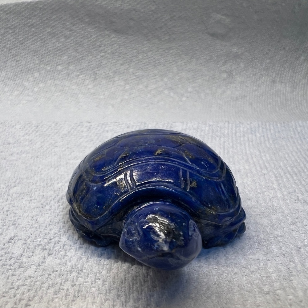 Blue lapis turtle - Picture 6 of 6